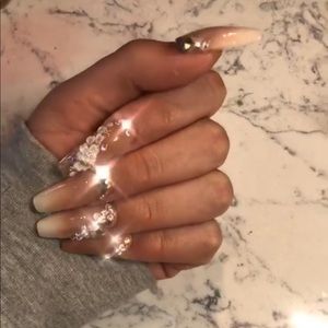 Meet your Posher, Daisy